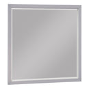  Homelegance Wellsummer 1803GY-6 Mirror IMAGE 2