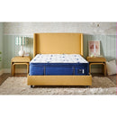  Size_California King -- Studio Medium Euro Pillowtop Mattress (California King) IMAGE 6