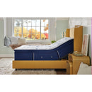  Size_Split California King -- Studio Medium Euro Pillowtop Mattress (Split California King) IMAGE 8