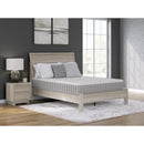  Size_Queen -- Sierra Sleep Terra Sleep Medium Mattress IMAGE 3
