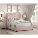  Size_Queen -- Cameo 1308PN-1* Queen Bed IMAGE 7