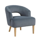  Manufacturer Color_Dark grey -- Dorset 1053DG-1 Accent Chair IMAGE 1