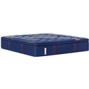  Size_Twin XL -- Sealy Brenham II Euro Pillow Top Medium Mattress IMAGE 1