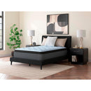  Size_Twin -- Sierra Sleep Destin Cove PT Mattress IMAGE 3