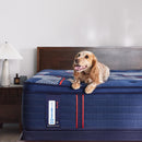  Size_King -- Albany II Euro Pillow Top Soft Mattress (King) IMAGE 9