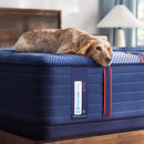  Size_King -- Albany II Tight Top Firm Mattress (King) IMAGE 9