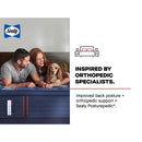 Size_California King -- Sealy Brenham II Tight Top Medium Mattress IMAGE 17