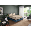  Tempur-Pedic TEMPUR-Adapt Luxe Egyptian Cotton Sheets - Sandstone (California King ) IMAGE 1