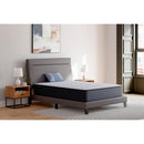 Ashley Sleep Anniversary Edition Firm M42051 California King Mattress - Maison Elegance Furniture LLC