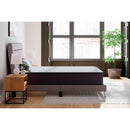 Ashley Sleep Anniversary Edition Firm M42071 Twin XL Mattress - Maison Elegance Furniture LLC