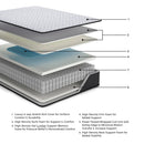 Ashley Sleep Anniversary Edition Firm M42071 Twin XL Mattress - Maison Elegance Furniture LLC