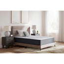 Ashley Sleep Anniversary Edition Plush M42131 Queen Mattress - Maison Elegance Furniture LLC