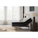 Ashley Sleep Anniversary Edition Pillowtop M42211 Twin Mattress - Maison Elegance Furniture LLC