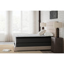 Ashley Sleep Anniversary Edition Pillowtop M42251 California King Mattress - Maison Elegance Furniture LLC